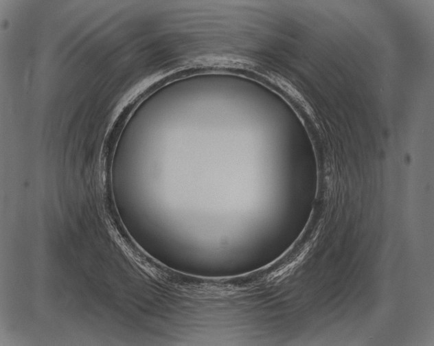 X0000086070981200704091231