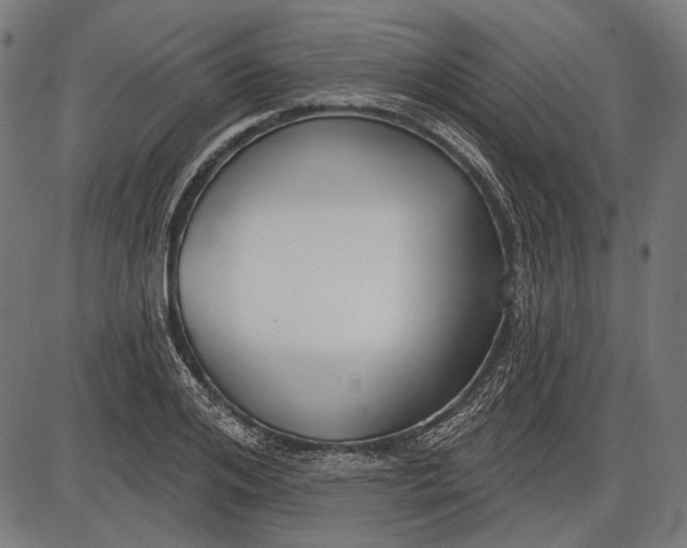 X0000086070984200704091231