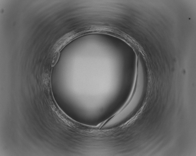 X0000086070985200704091231