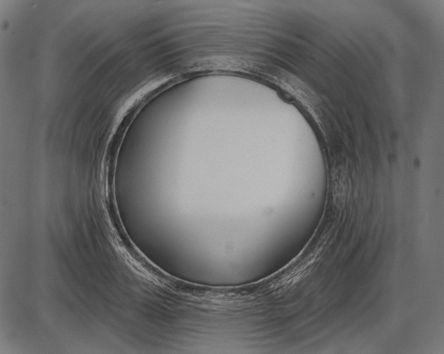 X0000086070987200704091231