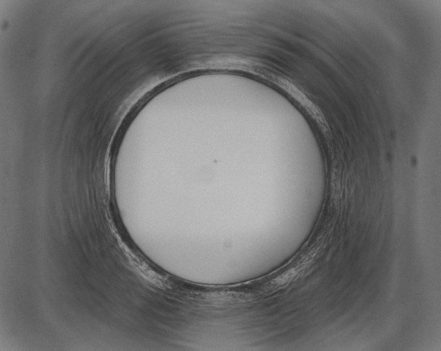 X0000086070988200704091231