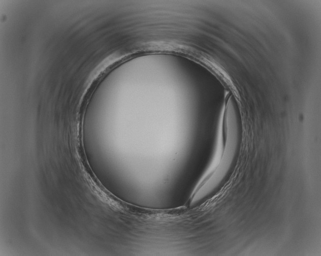 X0000086070992200704091231