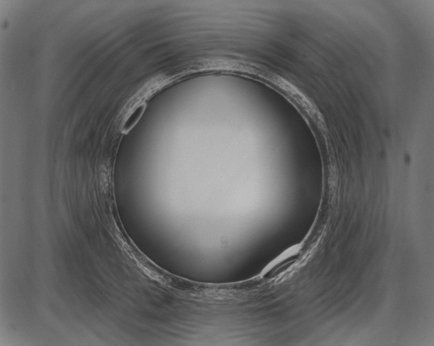 X0000086070993200704091231