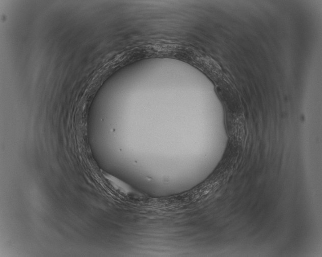 X0000086071009200704091229