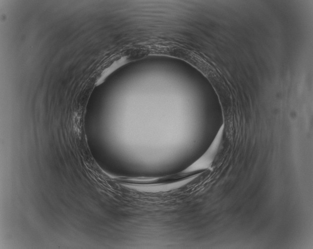 X0000086071010200704091229