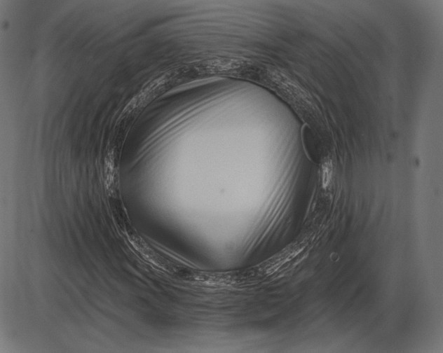 X0000086071011200704091229