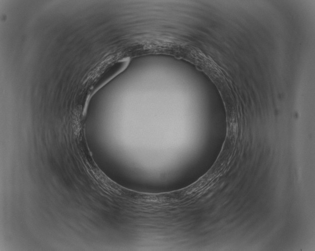 X0000086071012200704091230