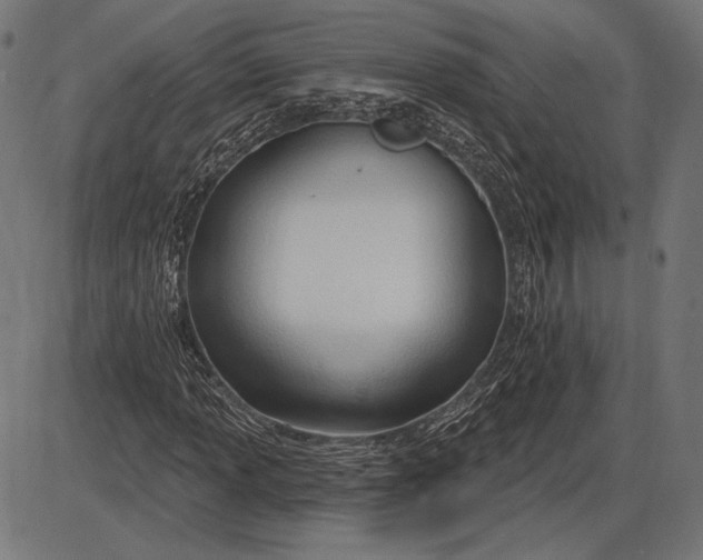 X0000086071013200704091230