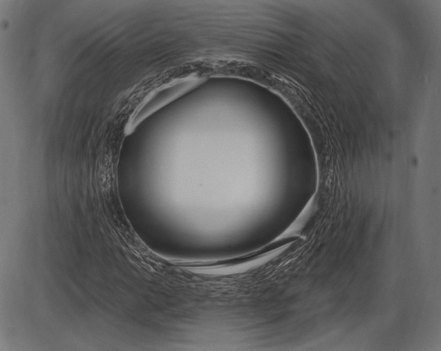 X0000086071014200704091230