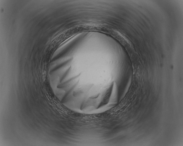 X0000086071015200704091230