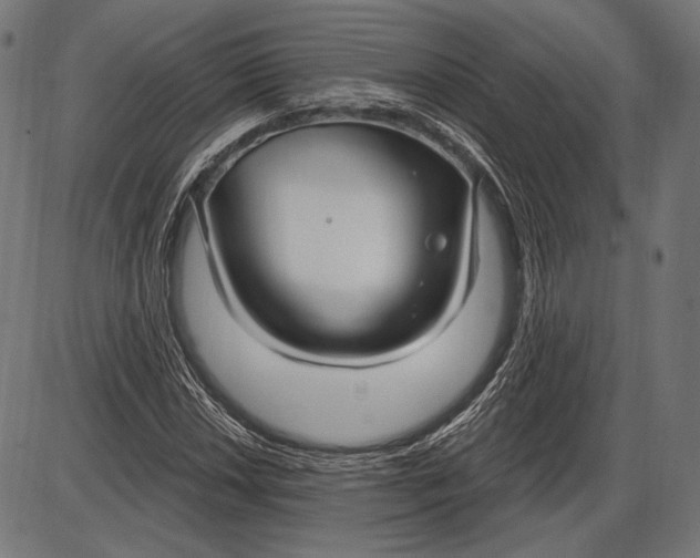 X0000086071018200704091230