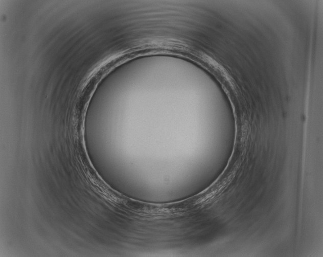 X0000086071019200704091230