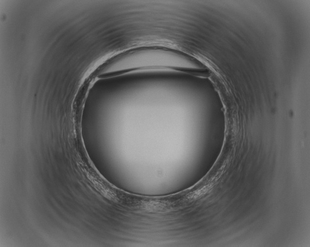 X0000086071022200704091230