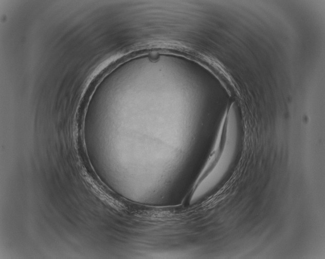 X0000086071024200704091230