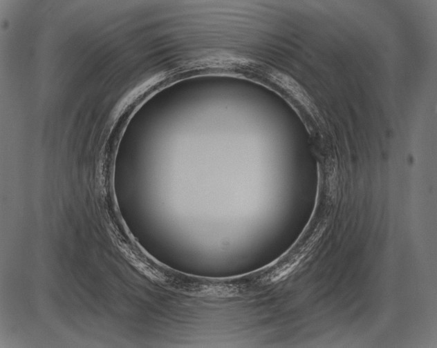 X0000086071026200704091230