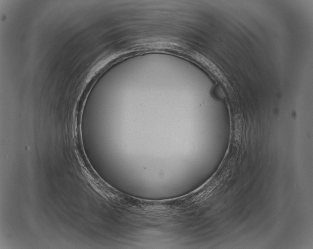 X0000086071031200704091230
