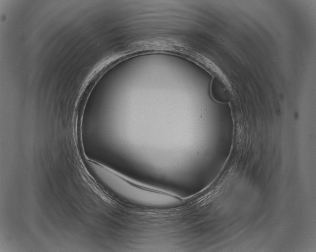 X0000086071035200704091230