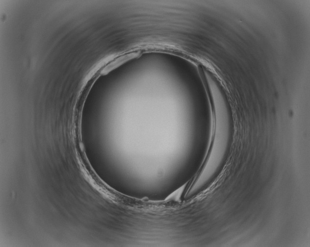 X0000086071038200704091230