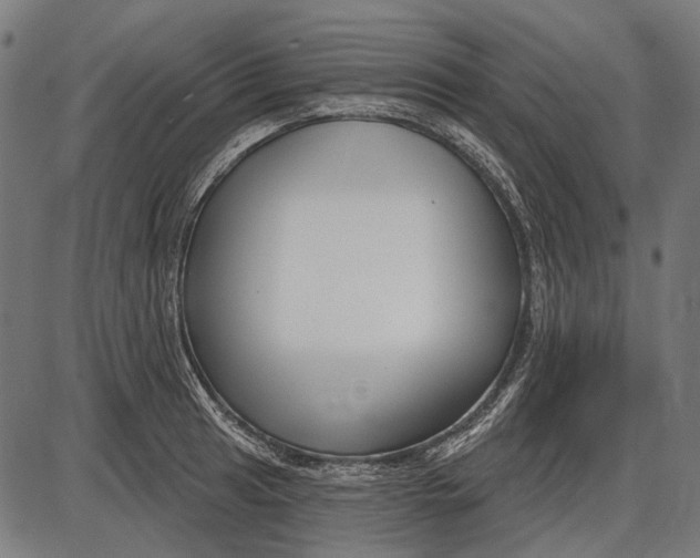 X0000086071041200704091230