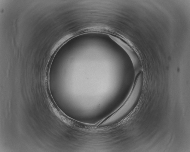 X0000086071042200704091230