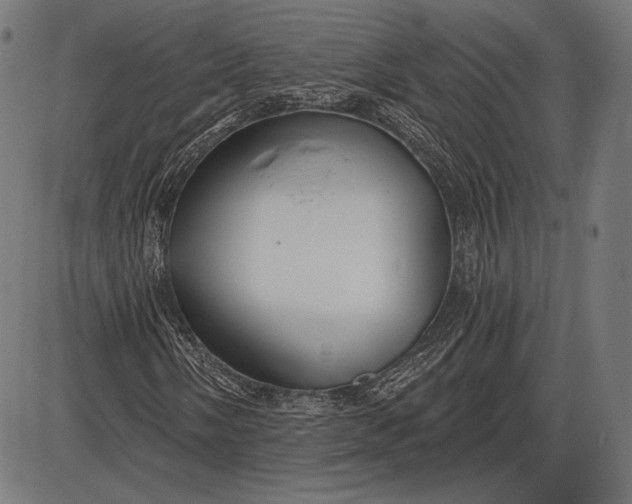 X0000086071058200704091229