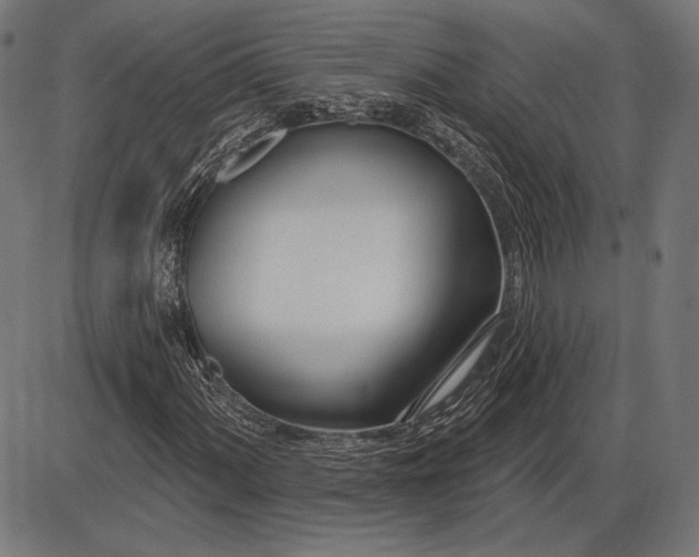 X0000086071060200704091229
