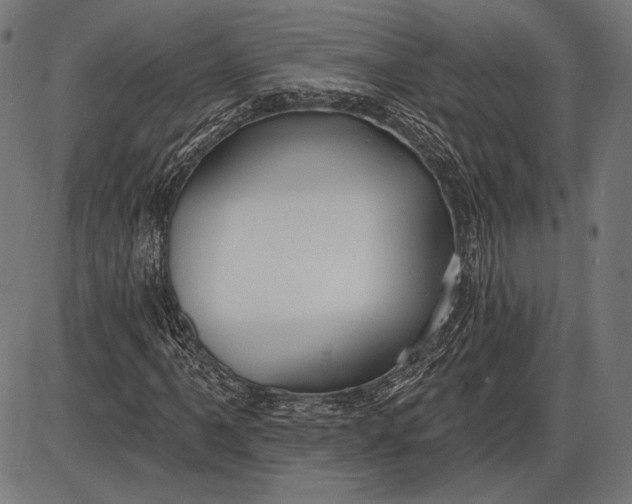 X0000086071061200704091229