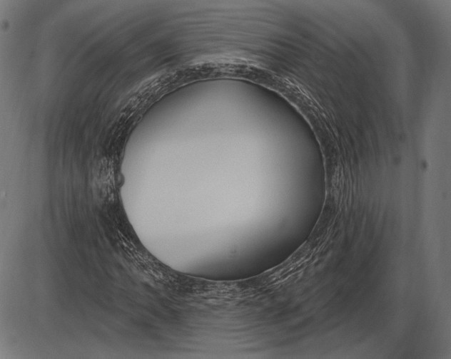 X0000086071062200704091229