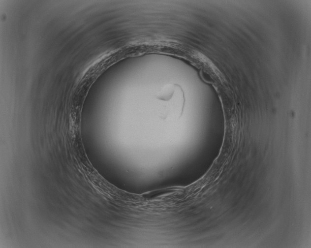 X0000086071064200704091229