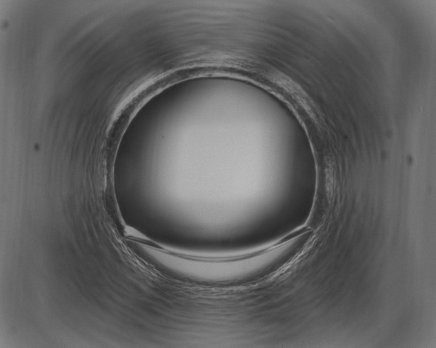 X0000086071069200704091229