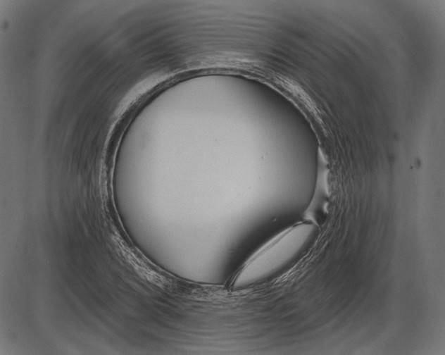 X0000086071072200704091229