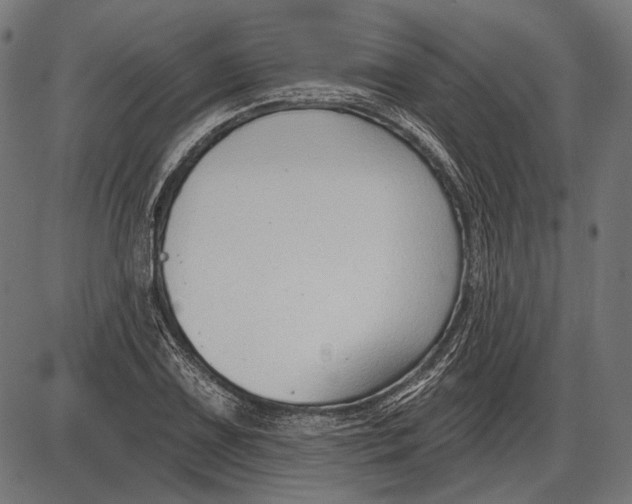 X0000086071075200704091229