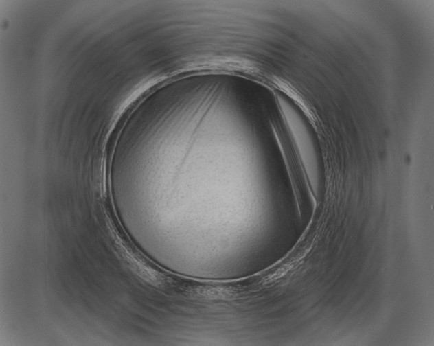 X0000086071079200704091229