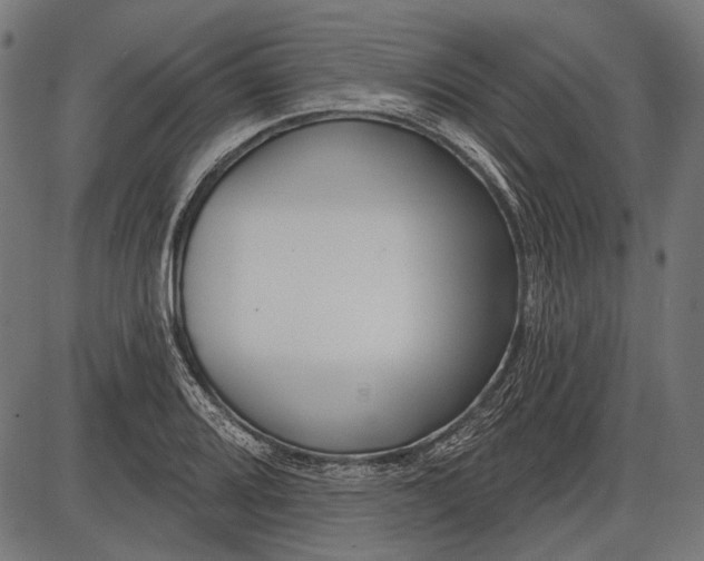 X0000086071080200704091229