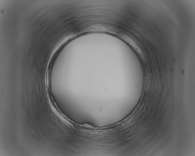 X0000086071084200704091229