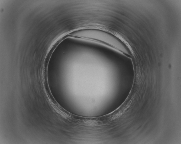 X0000086071085200704091229