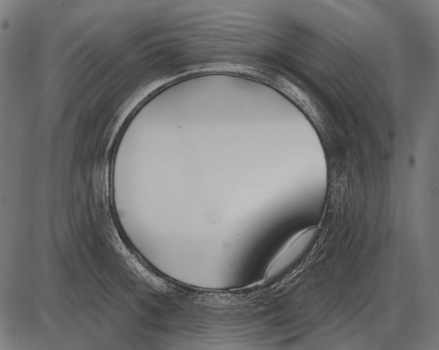 X0000086071092200704091229