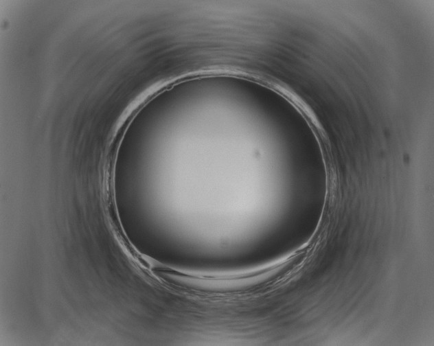 X0000086071101200704091229