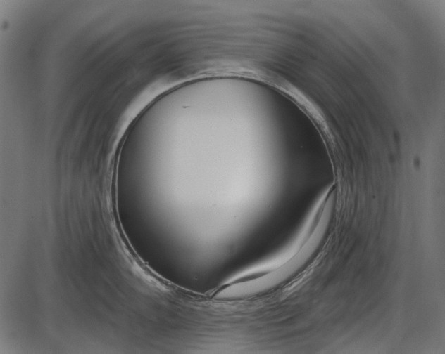 X0000086071102200704091229