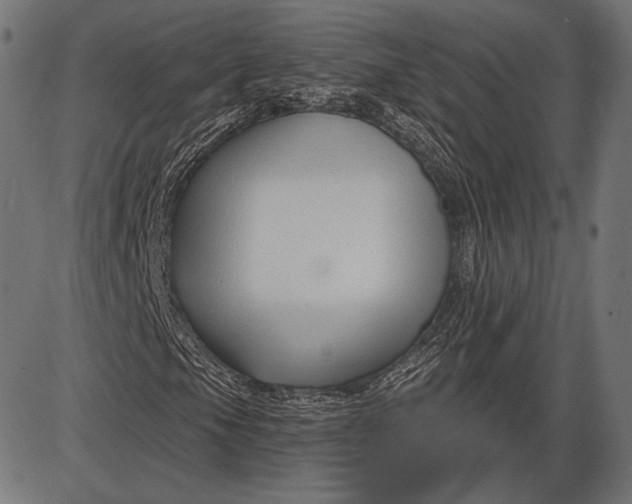 X0000086071105200704091228