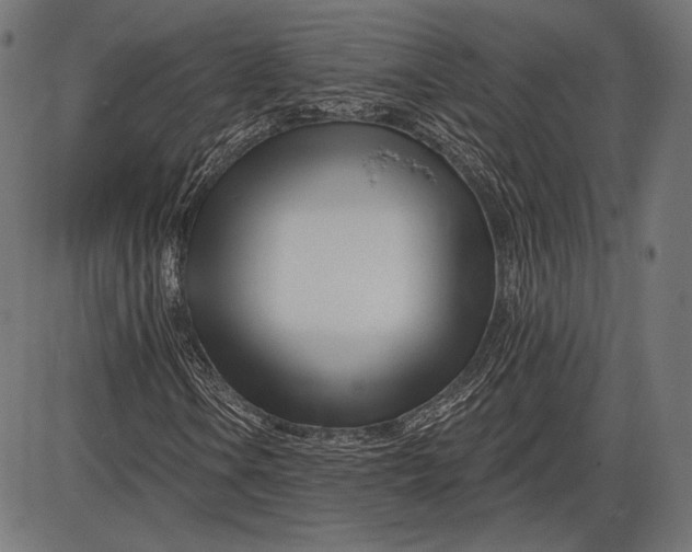 X0000086071106200704091228