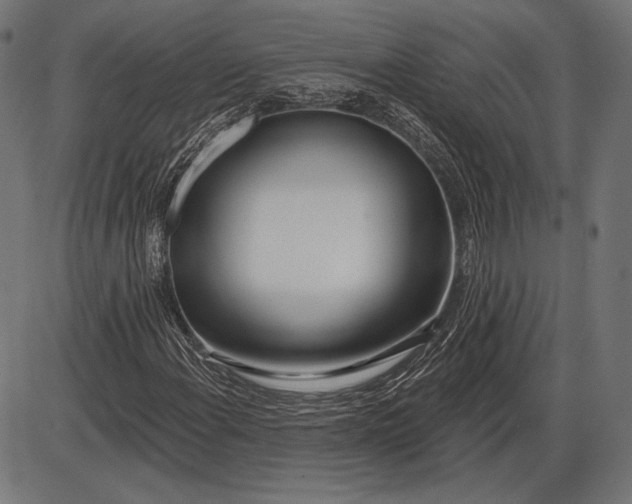X0000086071108200704091228