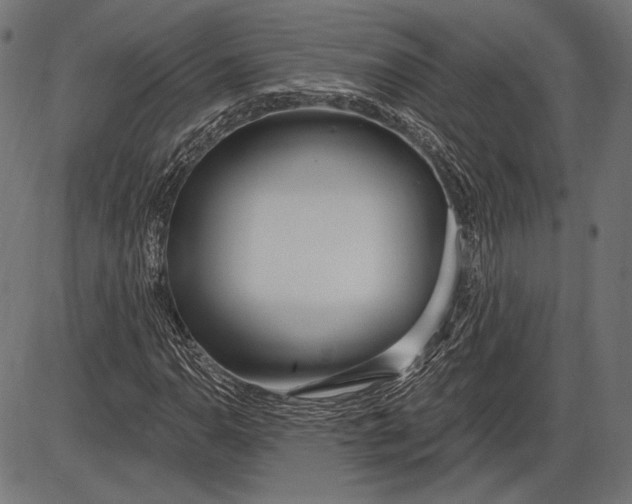 X0000086071110200704091228