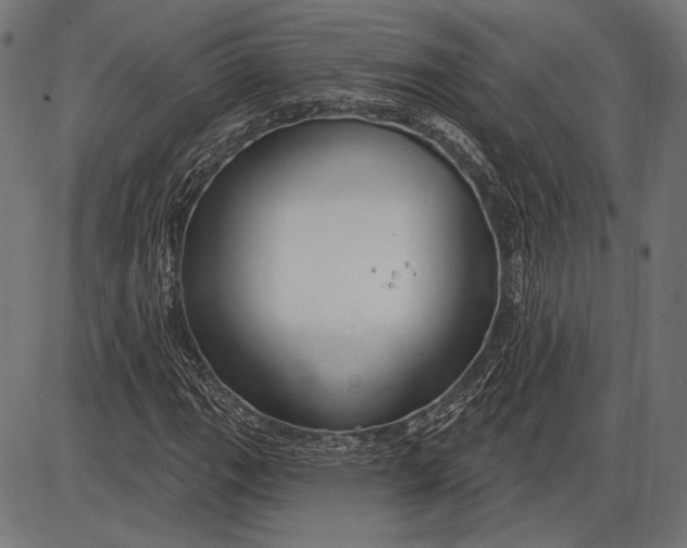 X0000086071111200704091228
