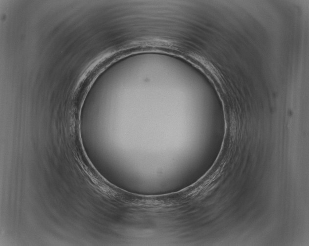 X0000086071115200704091228