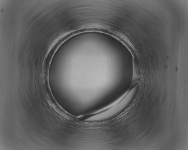 X0000086071116200704091228