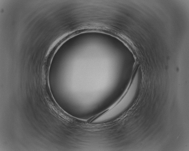 X0000086071120200704091228