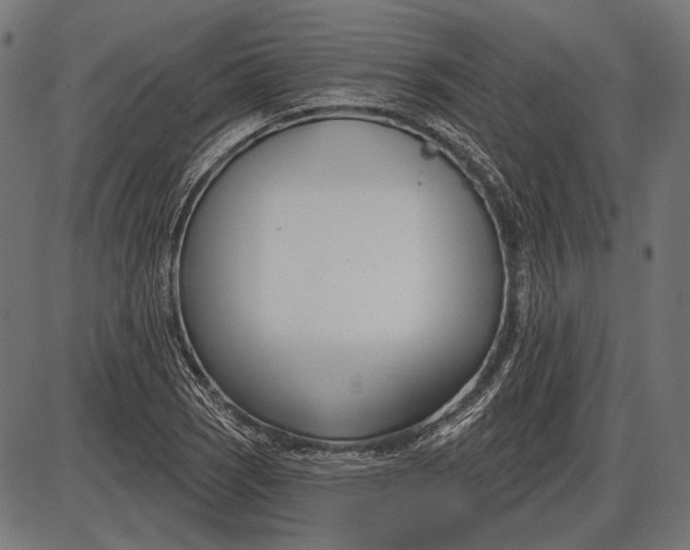 X0000086071121200704091228