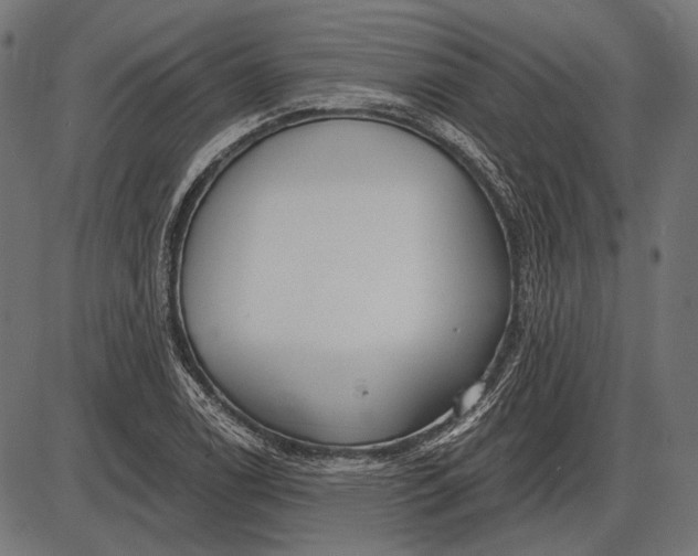 X0000086071122200704091228