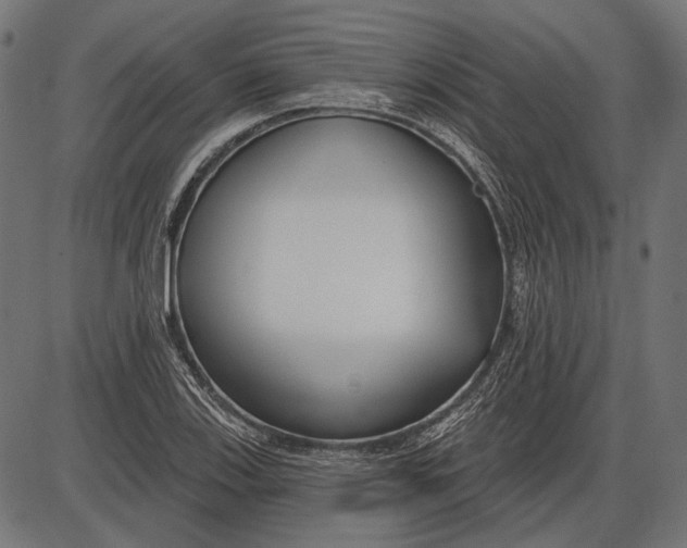 X0000086071123200704091228